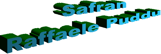 Raffaele website
Zafferanoturri