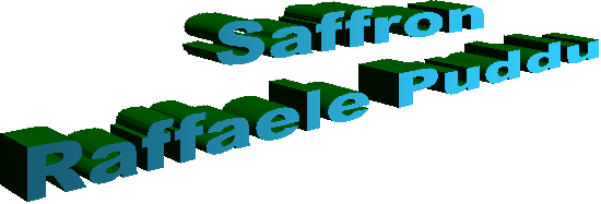Raffaele website
Zafferanoturri